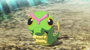 Chenipan de Sacha Film 20.png