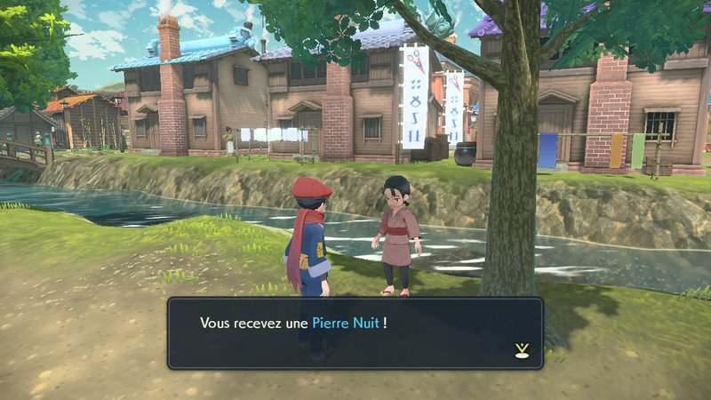 Fichier:Rusti-Cité Pierre Nuit LPA.png
