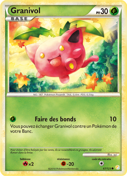 Fichier:Carte HeartGold & SoulSilver 67.png