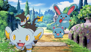 Lixy et Azurill sauvages - Film 10.png
