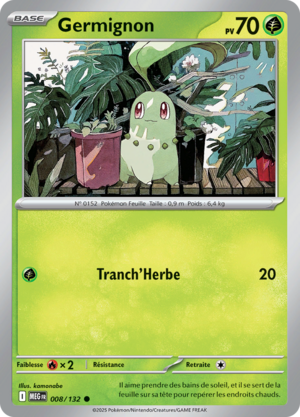 Carte Méga-Évolution 008.png