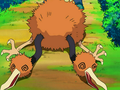 Doduo (d'un Dresseur)