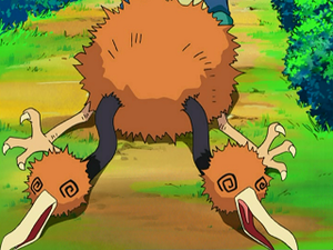 DP029 - Doduo d'un Dresseur.png