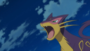 Léopardus(de Shinobu)