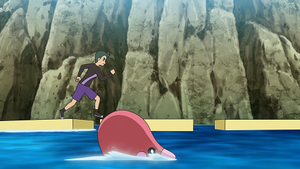 LV063 - Lovdisc d'un Dresseur.png