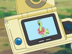 AG161 - Méganium Pokédex.png
