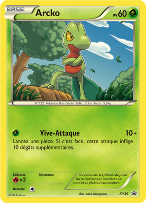 Carte Promo XY XY36.png