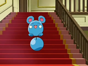 DP084 - Azurill de Monsieur Backlot.png
