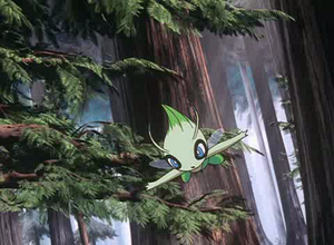 Film 07 - Intro - Celebi Sauvage.png