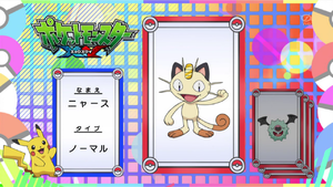 JP - QECP XY079.png