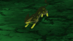 Léopardus de Brasénie.png