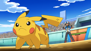 Pikachu(de Sacha)