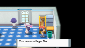 Route 213 Rappel Max 1 DEPS.png