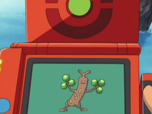 AG173 - Simularbre Pokédex.png