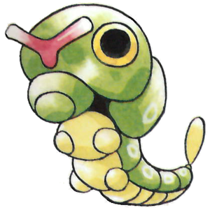 Chenipan-RV.png