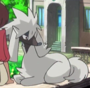 Couafarel XY001.png