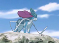 Suicune (sauvage)