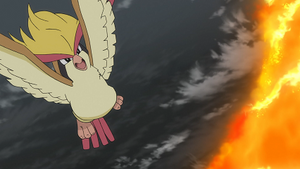 LV084 - Roucarnage.png