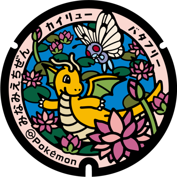 Fichier:Poké Lid 366 Minami Echizen.png