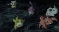 Rattata, Paras et Osselait (sauvages)