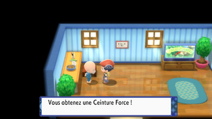 Route 221 Ceinture Force DEPS.png