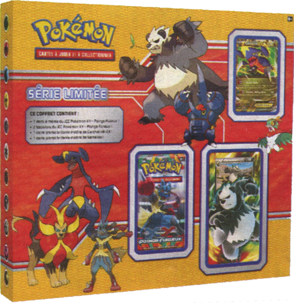 Fichier:Coffret LECPOK08.png