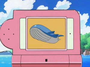 DP109 - Wailord Pokédex.png