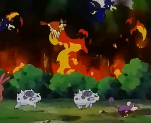 EP253 - Cornèbre et Nidoran♀.png