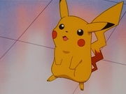 Pikachu(de Sacha)