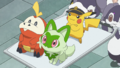 Chochodile (de Rhod), Poussacha (de Liko) et Pikachu (de Friede)