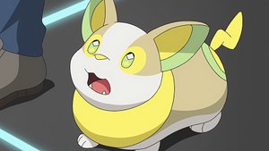 LV012 - Voltoutou de Chloé.png