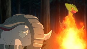 LV137 - Donphan et Jungko de Sacha.png