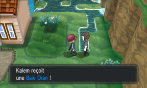 Mozheim Baie Oran XY.png