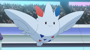 Togekiss(de Cynthia)