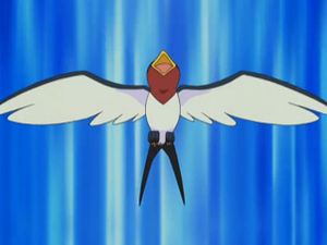 AG047 - Nirondelle de Sacha.png