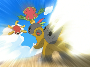 Hippodocus Damoclès.png