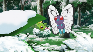 LV015 - Chenipan.png
