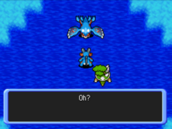 Kyogre se laisse recruter.