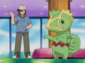 Kecleon (d'un Dresseur)