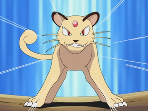 Persian de Virginie.png