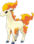 Ponyta