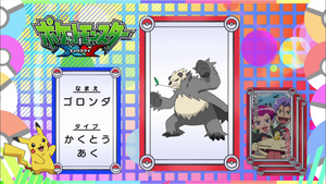 JP - QECP XY71.png