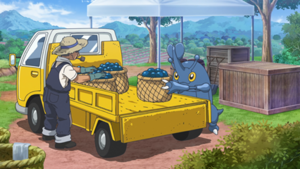 LH047 - Scarhino d'un fermier.png