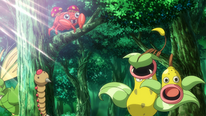 LV136 - Paras.png