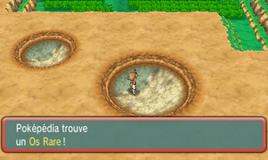 Route 114 Os Rare ROSA.png