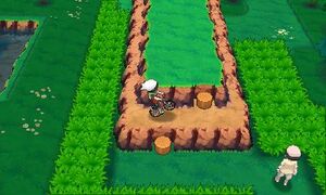 Vélo cross Pokémon ROSA.jpg