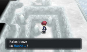 Caverne Gelée Muscle + XY.png