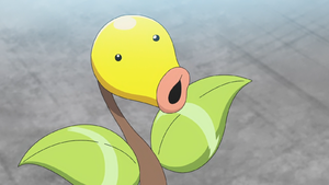 Chétiflor de Goh.png