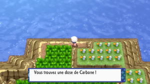 Chenal 230 Carbone DEPS.png