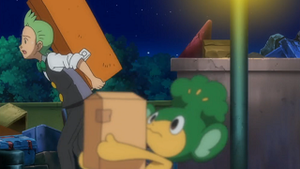 NB012 - Feuillajou de Rachid.png